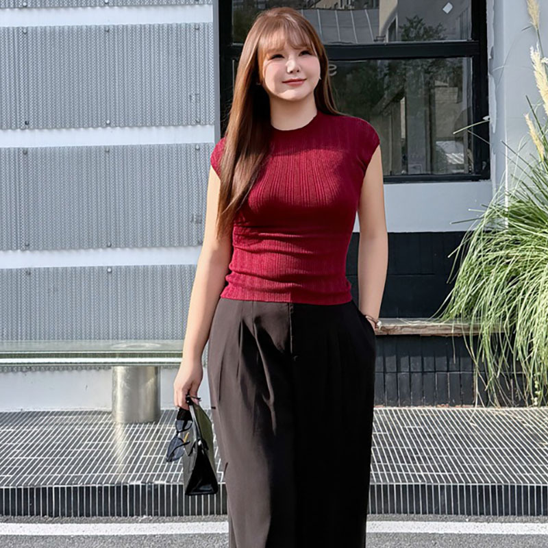 Plus-Size French-Style Half-High Collar Slim-Fit Sleeveless Knit Top, Large Size, New Autumn Style, High-End Solid Color Vest, Base Layer Cardigan Plus-Size French-Style Half-High Collar Slim-Fit Sleeveless Knit Top, Large Size, New Autumn Style, High-End Solid Color Vest, Base Layer Cardigan