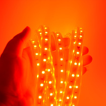 Resistance is simple and tasteless 2835 led lamp with red light living room ceiling imported light source 220V high temperature resistant and waterproof