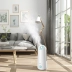 Bear máy tạo độ ẩm loại sàn hộ gia đình công suất lớn phòng ngủ im lặng văn phòng điều hòa không khí máy tạo độ ẩm - Máy giữ ẩm