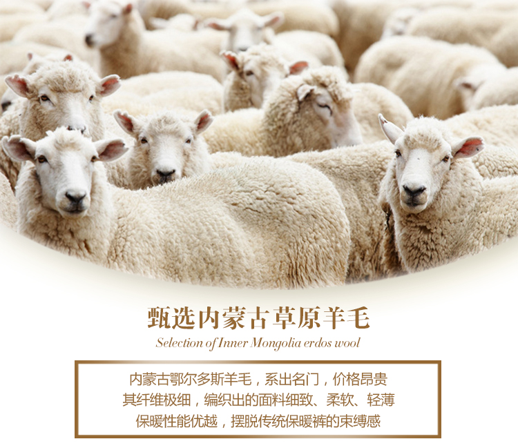 Pantalon collant Moyen-âge simple en laine - Ref 751904 Image 8