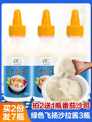 Salad Sauce Tomato Sauce Combination Household Vegetable and Fruit Sandwich Shallot Grab Sauce 0 Fatty Vinaigrette