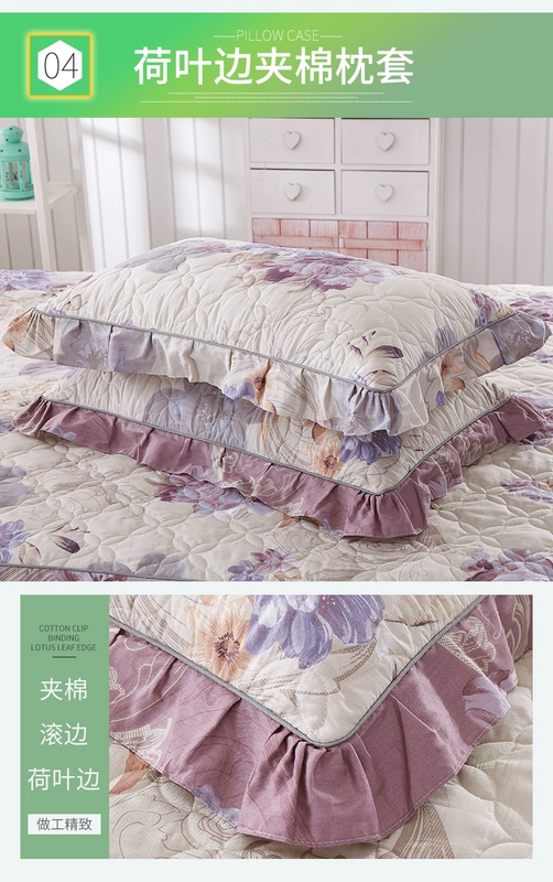 Dày bông giường bông váy một gia đình bốn với một chiếc giường bảo vệ bao gồm khăn trải giường bông tấm đoạn 1,5 1,8 m 2.0m - Váy Petti