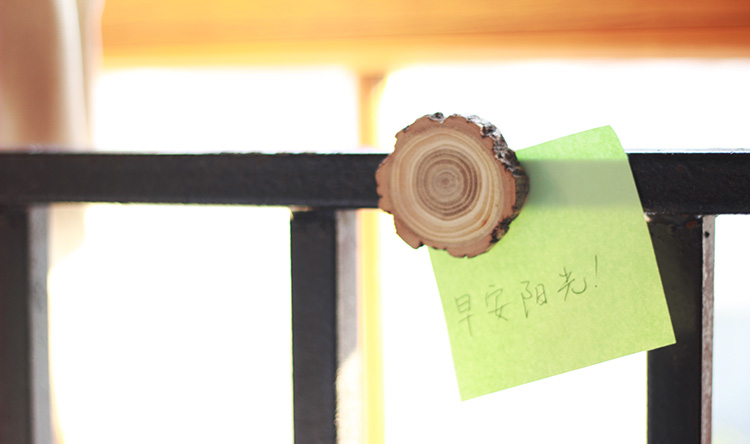 Fridge magnet