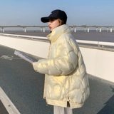 Короткий пуховик с пухом, демисезонная куртка, в корейском стиле, 2021 года