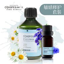 OPlants Soothing Sensitive Set Chamomile Blue Chamomile Essential Oil Set Repair Sensitive and Moisturize