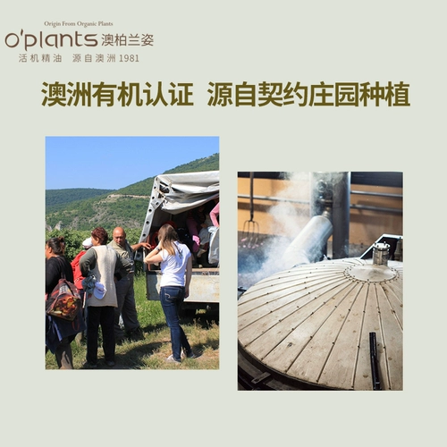 Oplants Yylai Unilateral Эфирное масло 10 мл, возникшее из активного увлажнения и увлажняющего масла Австралии.