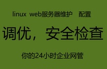Enterprise Linux server maintenance troubleshooting security optimization part-time network management