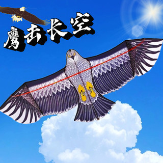 Lida 2025 new weifang eagle kite