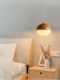 Modern simple creative personality single-head glass nut restaurant chandelier Nordic style bedroom bedside dining table bar lamp