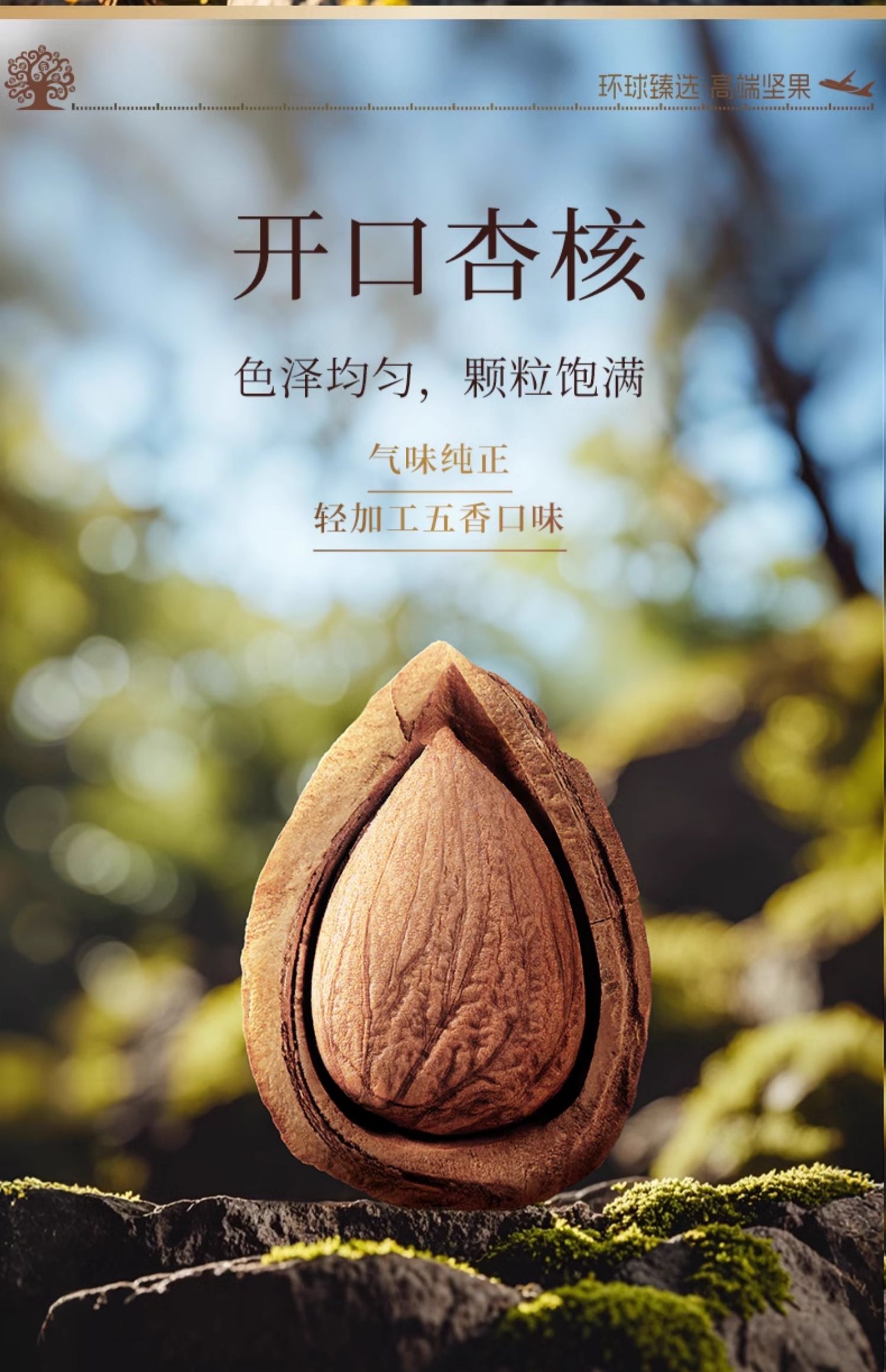 臻味环球优礼1600g郑州高档坚果干果礼盒大礼包端午送礼送人长辈团购