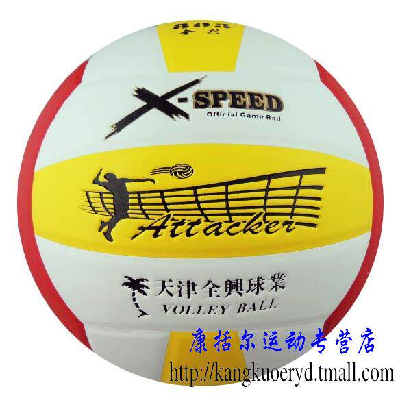Ballon de volley-ball - Ref 2010645 Image 9