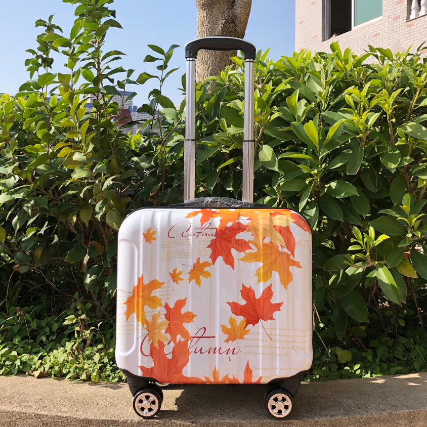 Phiên bản tiếng Hàn của hành lý trẻ em 18 inch phổ biến bánh xe đẩy trường hợp vali mini 16 inch khung lên máy bay mật khẩu vali du lịch