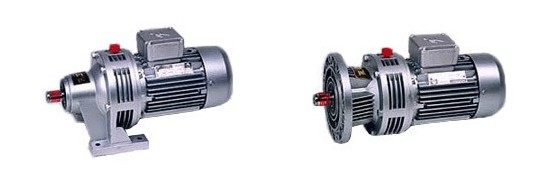 WB100 cycloidal needle wheel reducer 750W 1 9