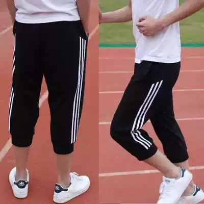 Boy Capri pants summer thin middle child Korean version of children's five-point pants sports casual shorts wear tide breeches