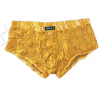 Summer mens skin-friendly thin transparent mesh breathable and comfortable underwear lace one-piece simple and comfortable boxer briefs