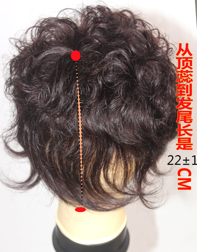 Extension cheveux - Ref 218621 Image 10