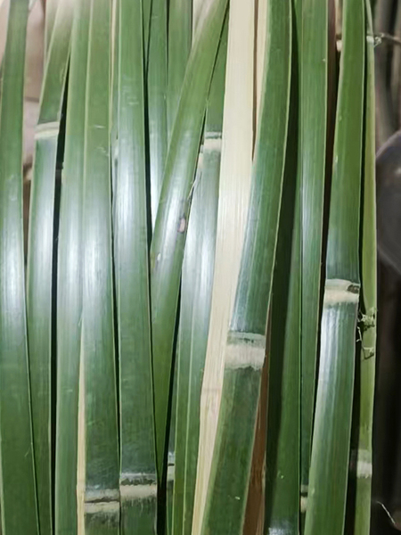 Customized Bamboo Strips, Bamboo Pieces, Bamboo Strips for Weaving, Bamboo Green Strips for Student Diy, Wedding Floral Decoration, Bamboo Weaving Materials