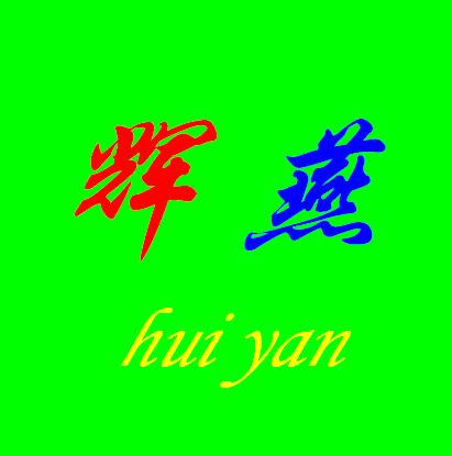 辉燕内衣店