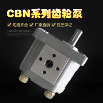 Gear pump hydraulic oil pump CBN-E310 E314 E308 E312 E325 E316 E320 E306