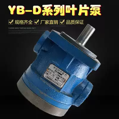 Vane pump YB-D6 3 YB-D10 YB-D12 YB-D16 YB-D20 YB-D25 YB-D32