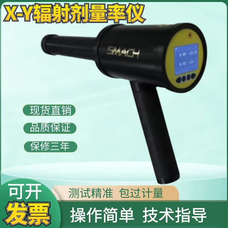 RP6000型X-Y辐射剂量率仪RP6500便携式伽马射线检测报警监测仪