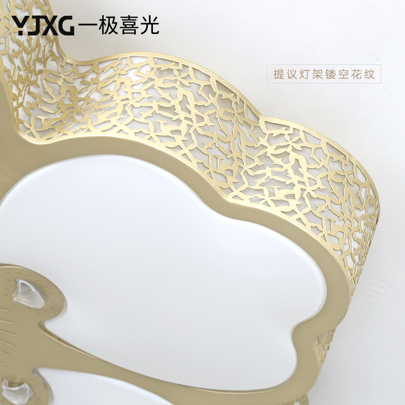 һ��ϲ���ִ���Լled������yjxg-0591