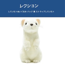 Japan aqua original genuine simulation animal cute ferret Doll Doll Doll plush toy birthday gift