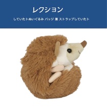 Japan aqua genuine simulation animal cute little hedgehog Doll Doll plush toy birthday gift