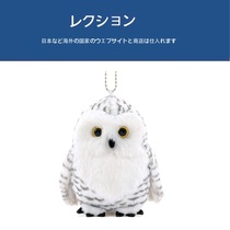 Japanese colorata original Genuine Imitation Animal Cat Owl Paparazzi Doll Plush Bag Pendant Small Hanging Ornament