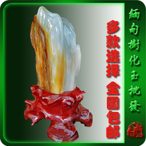 Tree jade Myanmar tree jade ornaments strange stones wood jade petrified wood petrified wood petrified wood more new products on the shelves