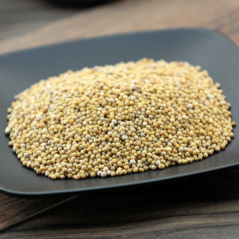 White mustard net heavy 500 gr white mustard seed spicy vegetable seeds white mesmery mustard seed jx