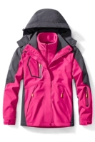 Женская роза красный