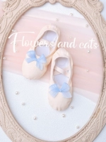 Танцевальная туфли из свинины-голубо