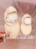 Камелия павлинов