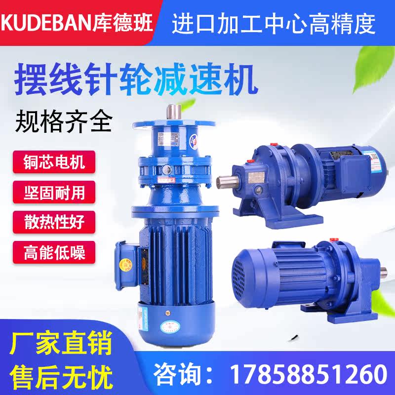 Planetary cycloid pin wheel reducer with motor Horizontal vertical BWD XWD mixer special transmission motor