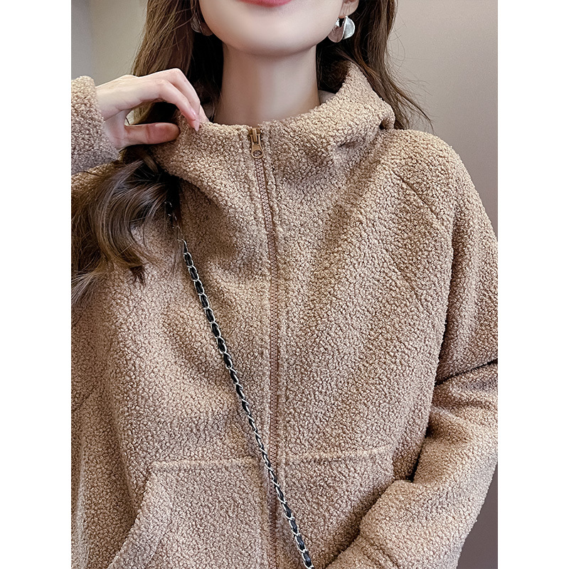 Lamb Wool Jacket for Women, Autumn and Winter 2026 New Style, Lazy Style, Thickened Teddy Fleece, Coffee-Colored Sweatshirt, Zip-Up Cardigan Top