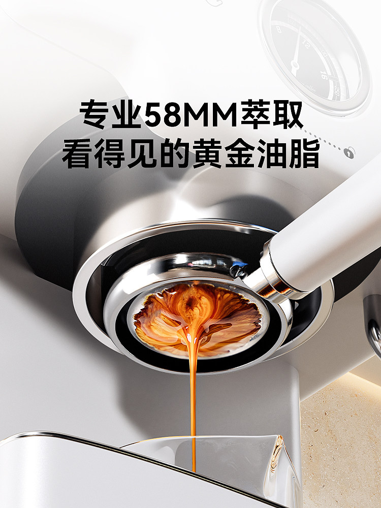 Petrus Pe3833 Sea Salt Square Pro Small Household Coffee Machine Semi-Automatic Professional Italian Style 3690