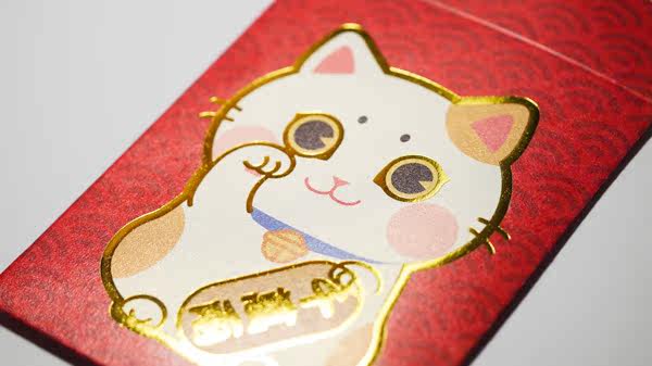 Coussin Manga MEO.G - Ref 2685237 Image 8