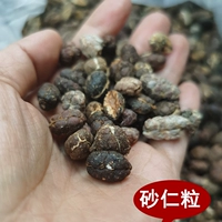 Amomum villosum 100 г настоящего риса Amomum villosum, очищенный рис Amomum villosum, специи amomum villosum, китайские лекарственные материалы, мясо amomum villosum