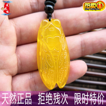 Pure natural ice species of chalcedony knows the pendant Yellow Agate gold cicada pendant mens and womens money to evil Jade Pendant