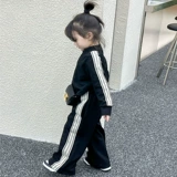 Осенний комплект для отдыха, детская спортивная куртка, в корейском стиле