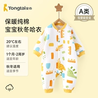 Модель C - Королевство динозавров