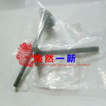 Danyang accessories DY100T-6 -8 125T-16 T-26 Inlet and exit valve grid pedal upstart