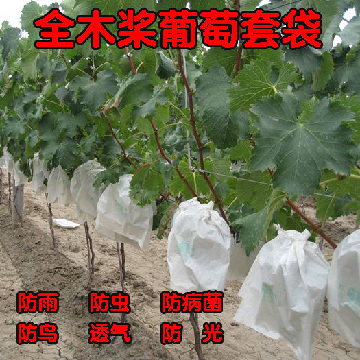 Grape bagging fruit bagging fruit tree special bag anti-bird anti-insect fly bag fruit bagging shading bag raisin paper bag