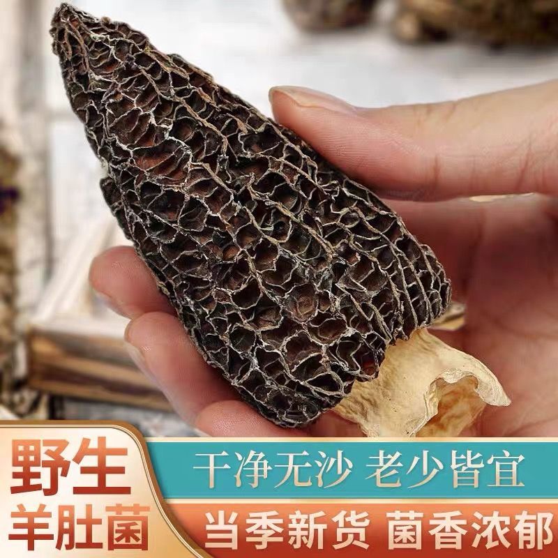 2022 first stubble fresh morels 500g Yunnan specialty wild mushroom super shiitake mushroom soup ingredients dry goods 25g