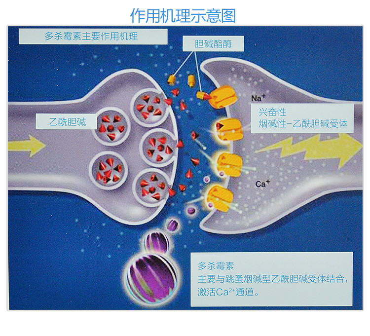 Comfortis 恳 Ford 810mg pet dog dog cat scorpion scorpion scorpion diệt côn trùng đơn - Cat / Dog Medical Supplies xilanh tiêm