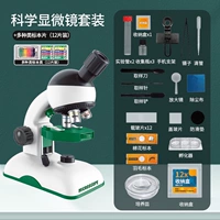 Универсальный источник света, микроскоп, образец, подарочная коробка, официальный флагманский магазин