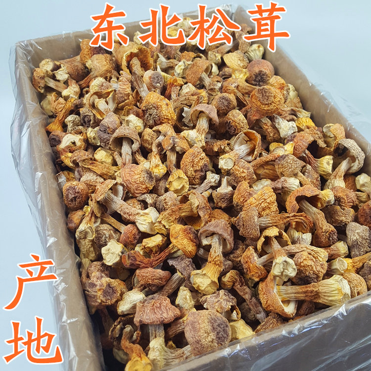 Pine-furry Northeastern pine-furry mushroom Daxing Ji Songsuo Furry Dry Goods Terfuge Mushrooms Origin Straight Hair New Products 500g