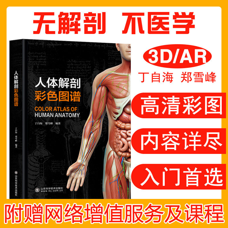 人体解剖彩色图谱丁自海郑雪峰人体解剖彩色学图谱临床人体解剖学教材奈