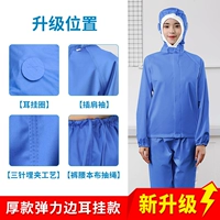 Синий* стиль эластичного края [висящий ухо] толстая модель